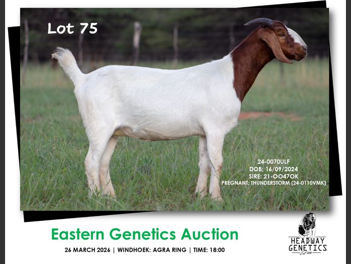 24-0070ULF | HEADWAY GENETICS