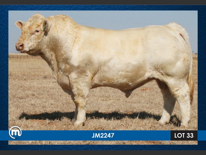 JM 220047