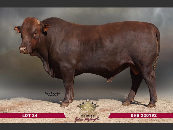 KHB 220192