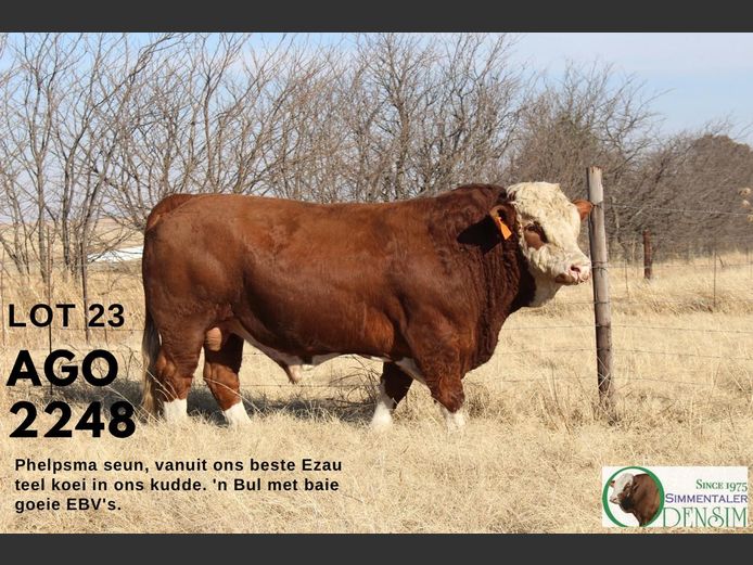 AGO2248 | AG ODENDAAL