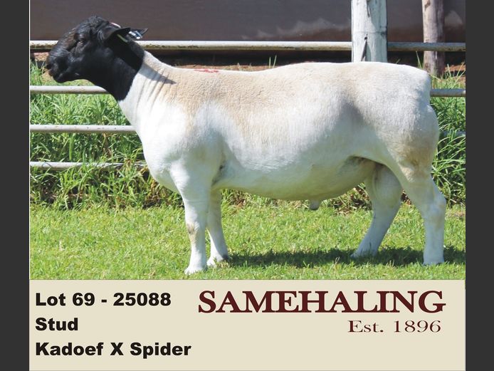 25088-330 | SAMEHALING DORPERS