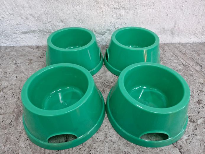Set of 4 Green Plastic Pet Bowls