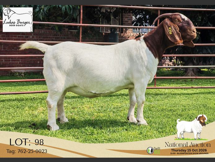 762-25-0023 | AWA Burger Boerbokstoet