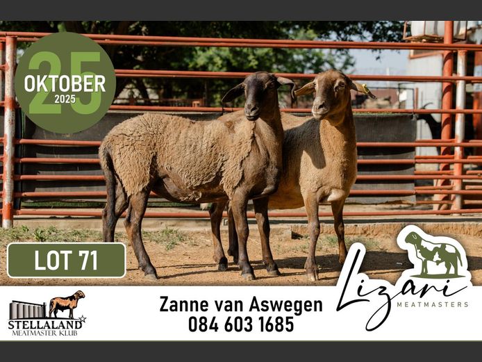 LZG258 | Lizari Meatmasters