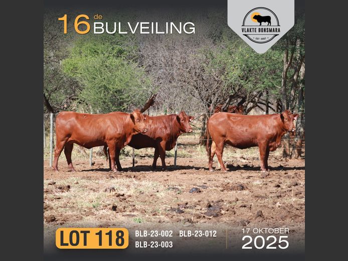 Commercial Animals | BOSLAND BOERDERY