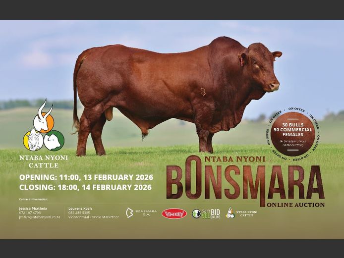 NTABA NYONI BONSMARA ONLINE AUCTION