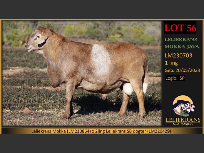 LM 23 0703 | Leliekrans Meatmasters
