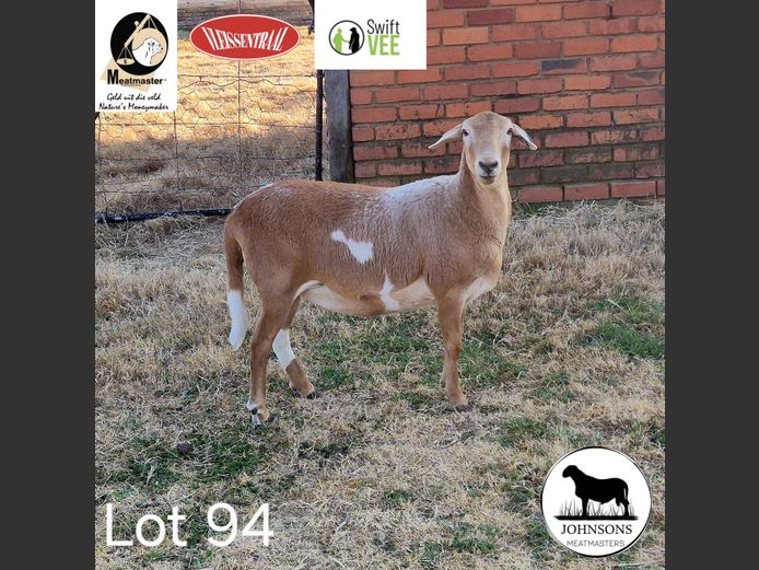 CMY 23 0098 | AANGETEKEN | C.C Johnson - Johnsons Meatmasters