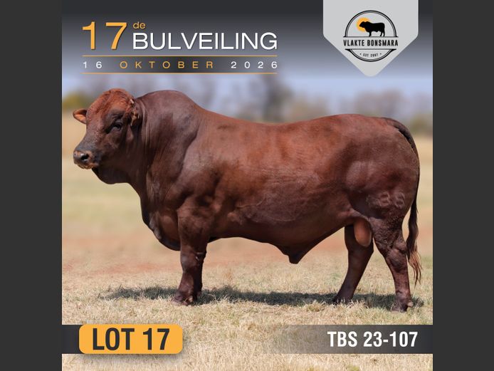 TBS230107 | THABA KWENA BONSMARAS