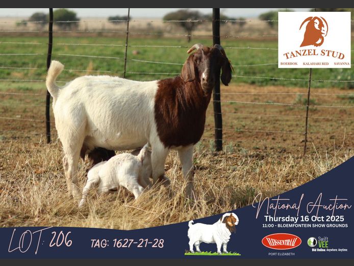 1627-21-28 | Theunis Nel (Tanzel)
