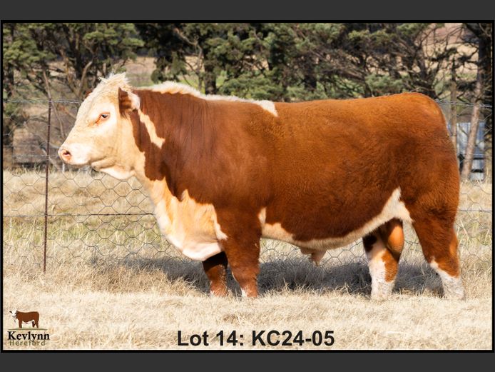 KC240005 PcH