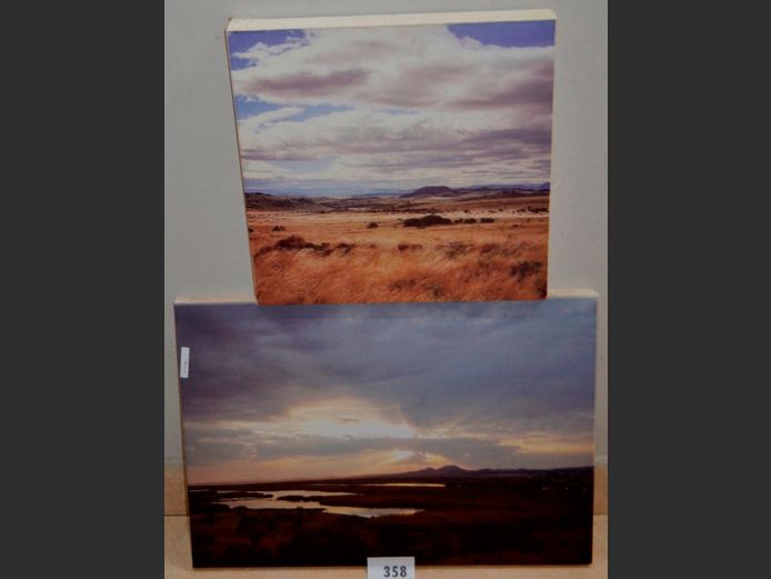 LOT OF 2 UNFRAMED PRINTS ON CANVAS: LANDSCAPES, 59.5 x 41.5cm & 40 x 40cm