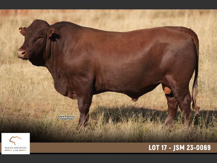JSM 230069 | MARAIS BONSMARAS