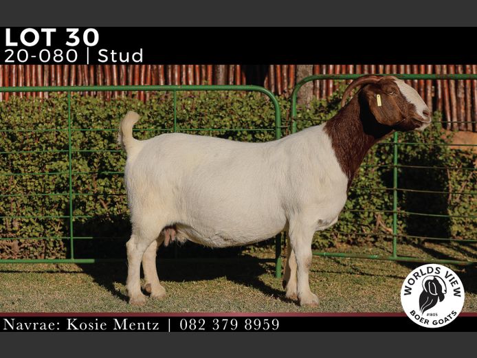 200080 | WORLDS VIEW