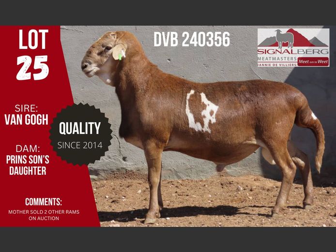 DVB 240356 | SIGNALBERG MEATMASTERS 