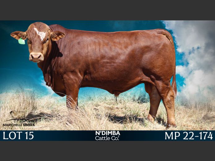 MP22174