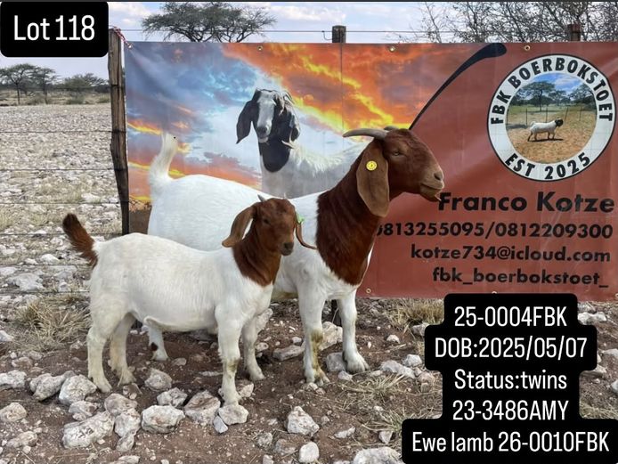 25-0004FBK | FBK BOERBOKSTOET