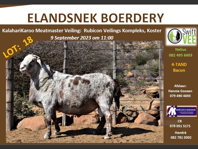 RSL 18 | ELANDSNEK BOERDERY