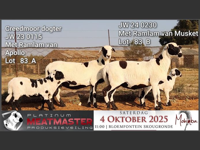 JW 24 0230 | Johnny & John William Morrison - Mohimba Meatmasters, Bainsvlei