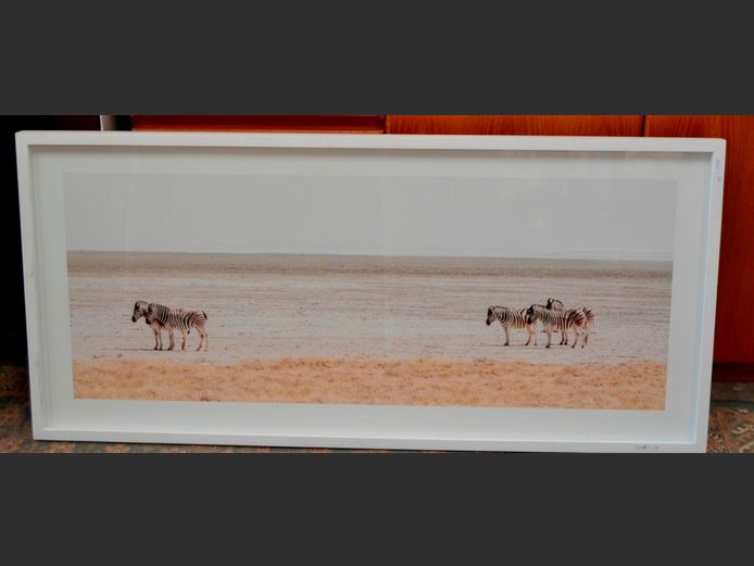 WHITE BOX FRAMED PHOTOGRAPH "ZEBRAS", 114 x 44cm