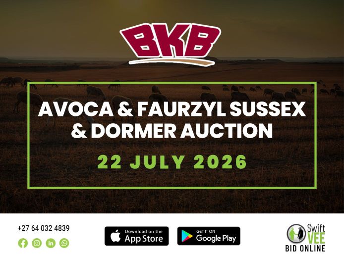 AVOCA & FAURZYL SUSSEX & DORMER AUCTION