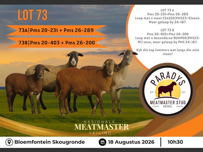 PMS 20 0403 | PARADYS MEATMASTER STOET