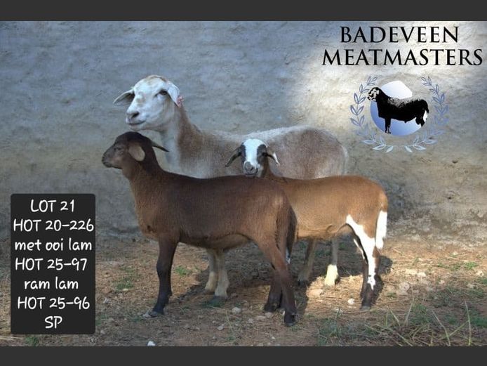 HOT 20-226 | Badeveen Meatmasters