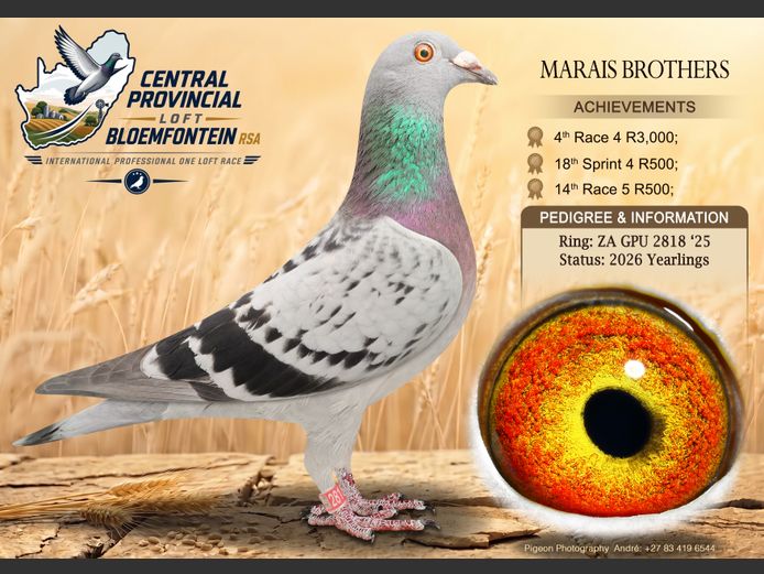 GRPF 2818 2025 | MARAIS BROTHERS