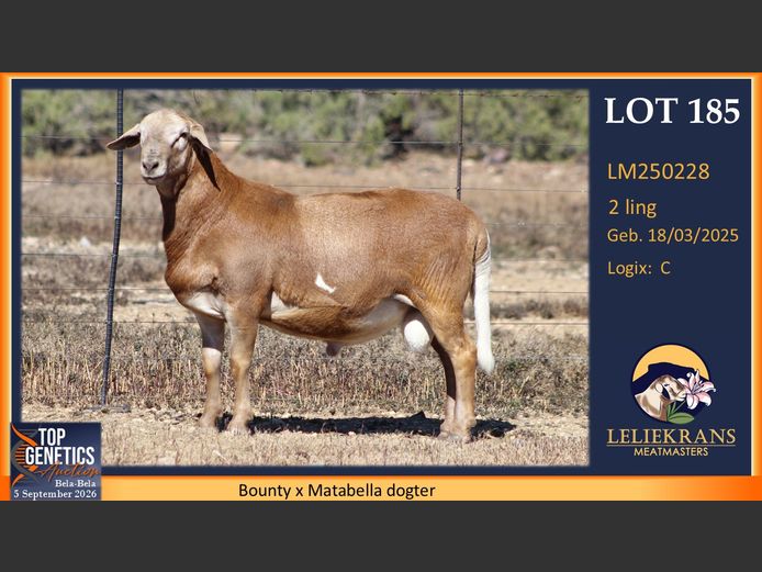 LM250228 | LELIEKRANS MEATMASTERS