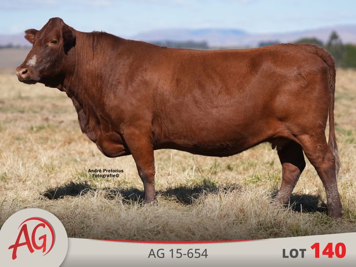 AG150654 HH(c) | ARTHUR DE VILLIERS & SEUN