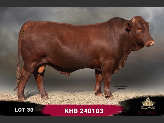 KHB 240103