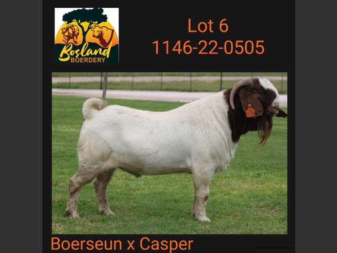 1146 22 0505 | BOSLAND BOERDERY