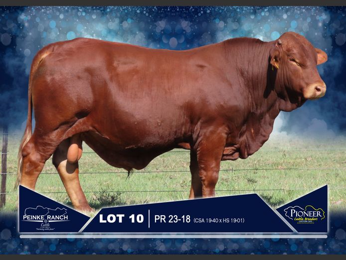 PR 230018 | PEINKE RANCH