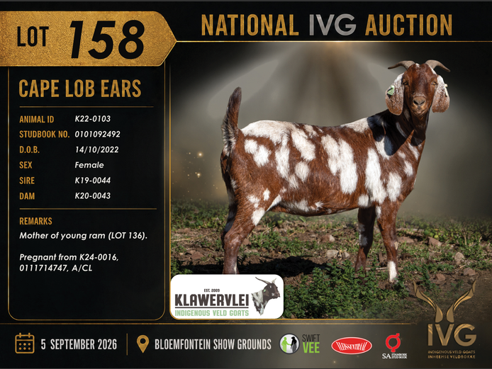 K22-0103 | Klawervlei Stud