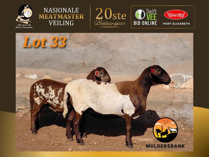 23-70 | Muldersbank Meatmasters