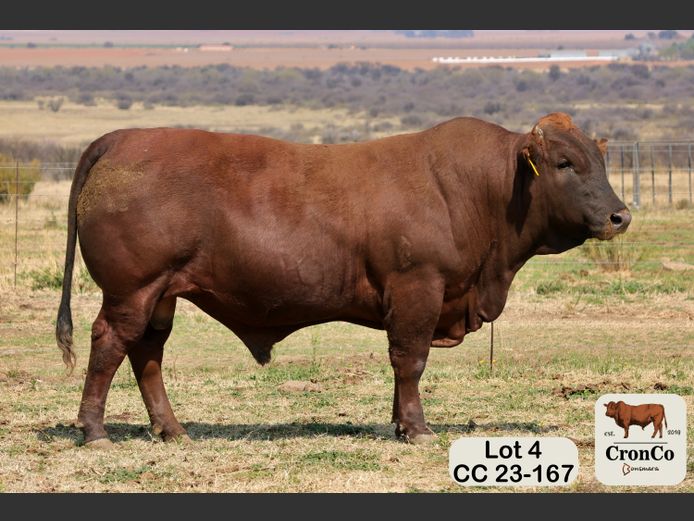 CC 230167 | CRONCO AGRI