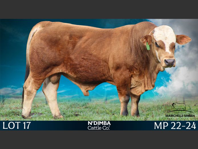 MP2224