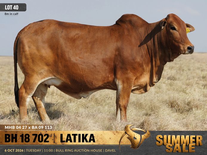 BH180702 | B. HURWITZ FARMING