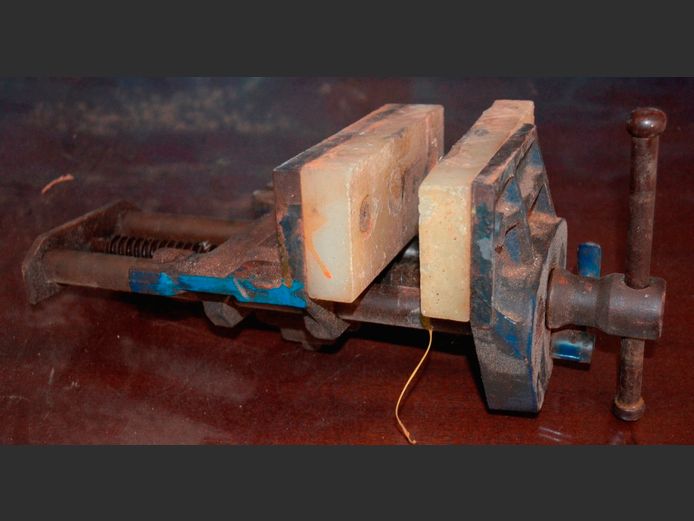 RECORD WOOD VICE