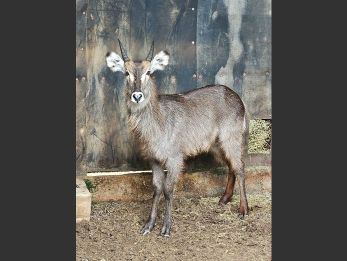 WATERBOK | WATERBERG AVIATION