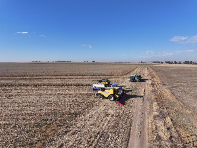 696.8464 Hectares - For Sale