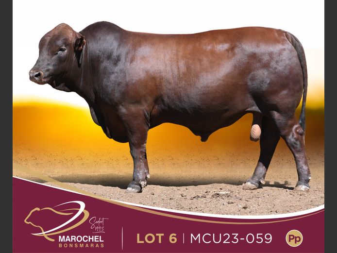 MCU 230059