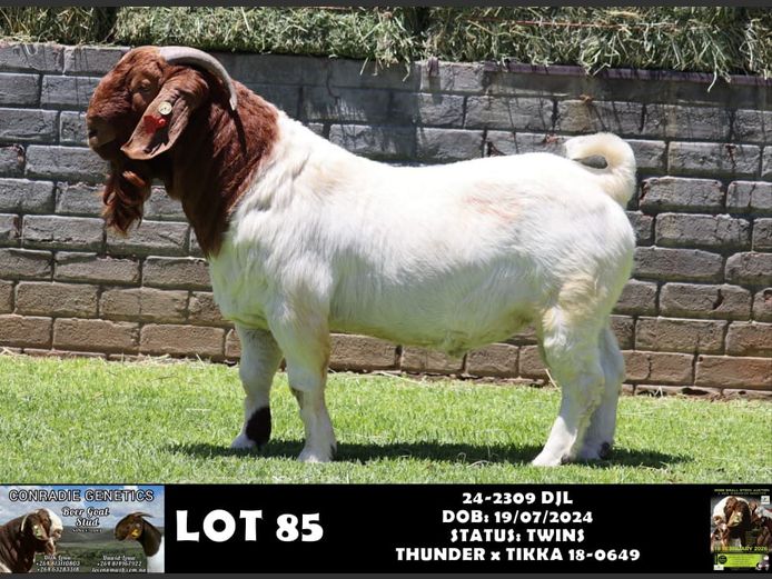 24-2309 DJL | DIRK LOUW