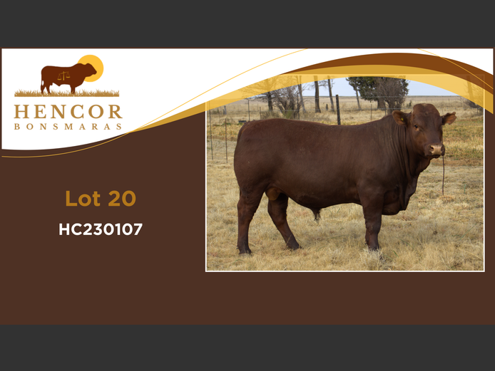 HC  230107 | HENCOR BOERDERY