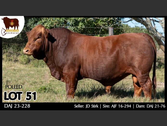 DAJ 230228 | J.D. STIRK