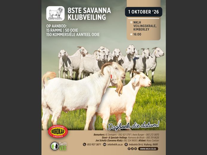 8STE SAVANNA KLUBVEILING
