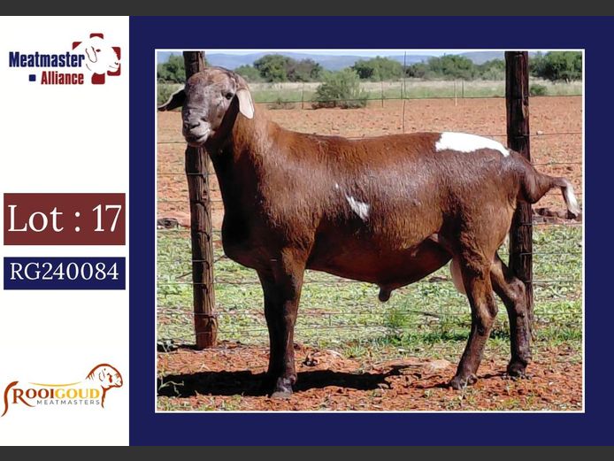 E4226 | Rooigoud Meatmasters