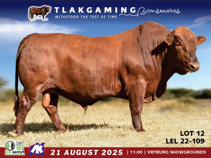 LEL220109 | LEE & SON