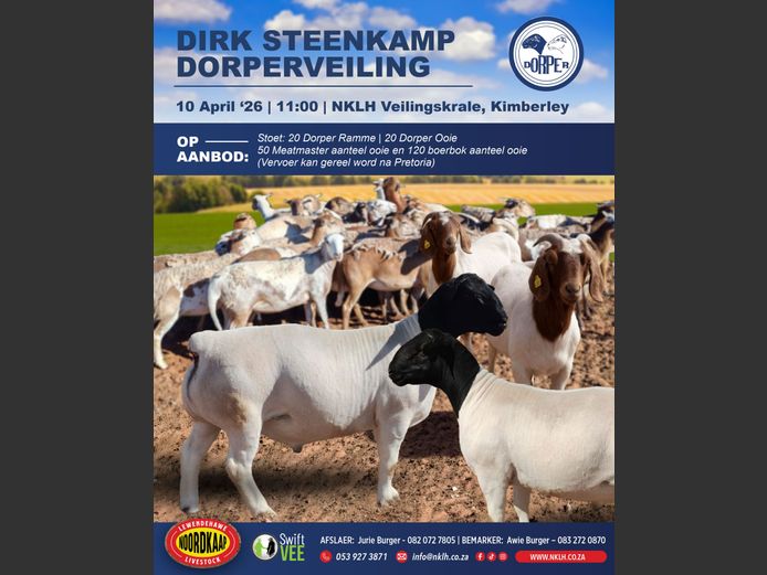 DIRK STEENKAMP DORPERVEILING