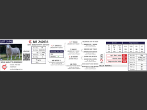 genetic_data